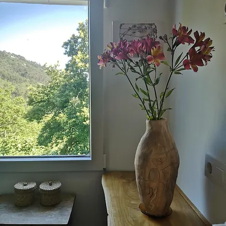 아파트 O Quinteiro De Elvira Moaña