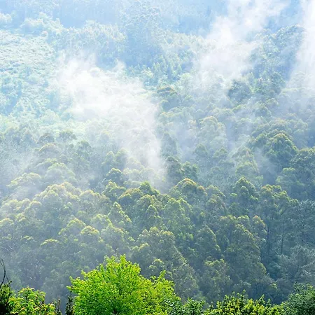 O Quinteiro De Elvira Moaña