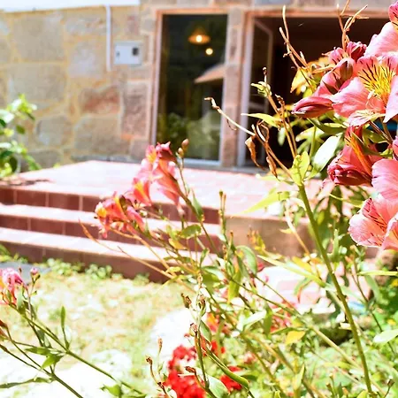 O Quinteiro De Elvira * Moaña