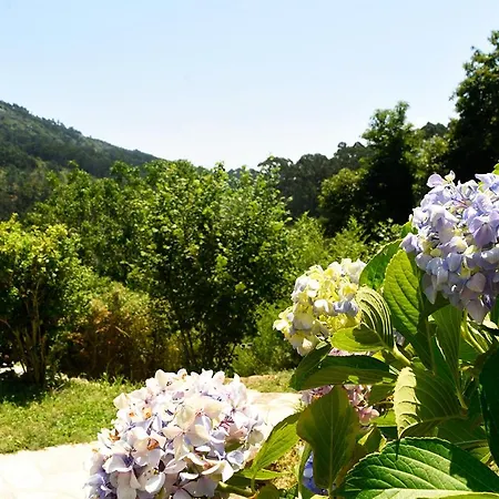 O Quinteiro De Elvira 아파트 *