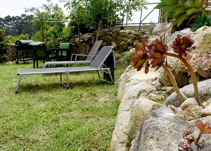 O Quinteiro De Elvira Daire *