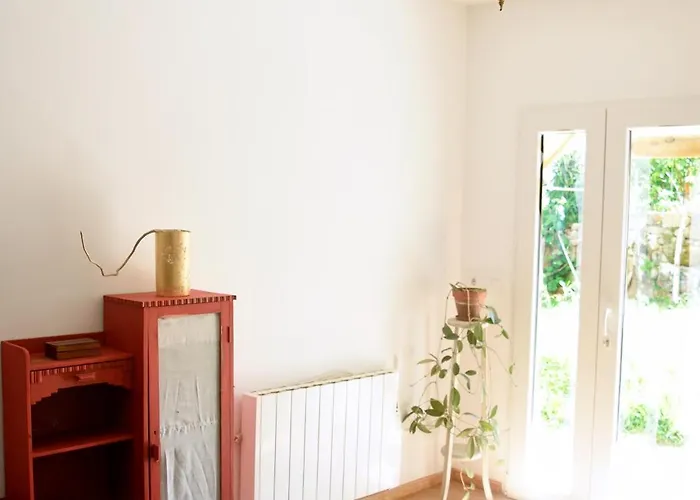 O Quinteiro De Elvira Daire *