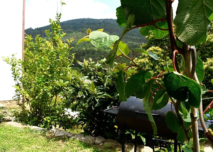 Daire O Quinteiro De Elvira