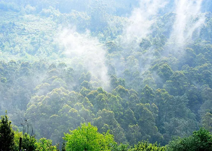 O Quinteiro De Elvira Moaña