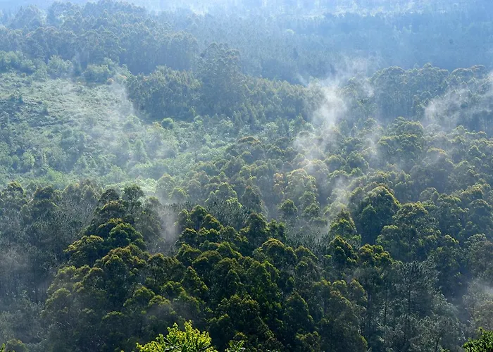 O Quinteiro De Elvira *