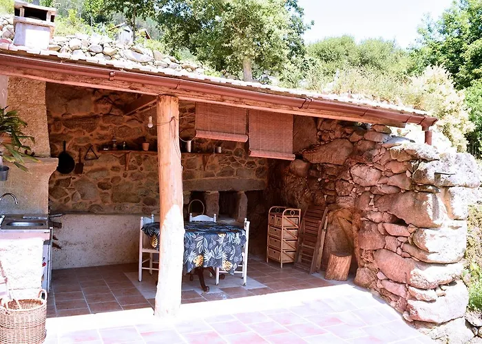 O Quinteiro De Elvira Daire