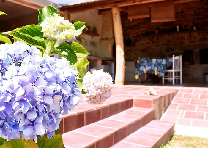 O Quinteiro De Elvira Daire Moaña