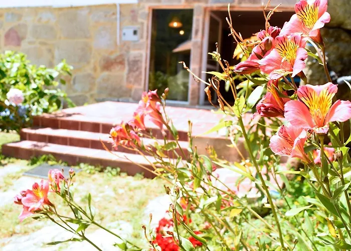 O Quinteiro De Elvira * Moaña