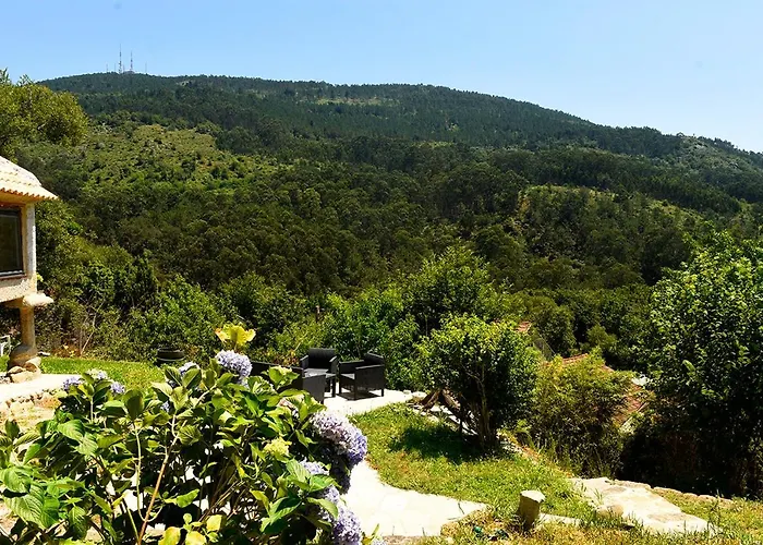 O Quinteiro De Elvira *