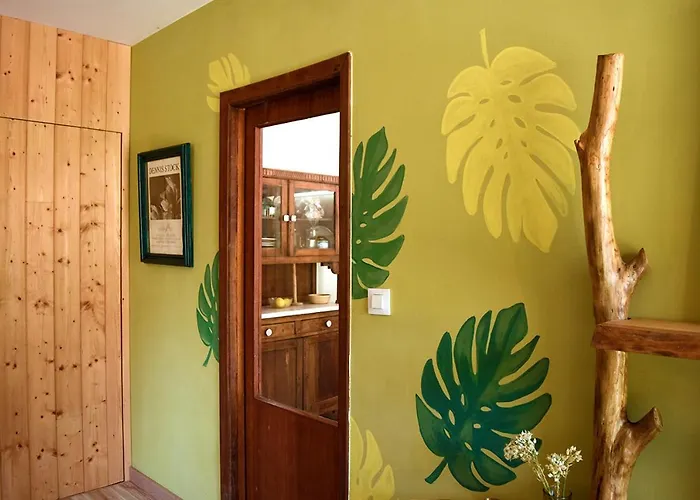 O Quinteiro De Elvira Daire Moaña