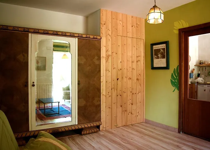 O Quinteiro De Elvira Daire