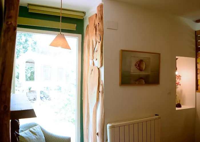 O Quinteiro De Elvira Daire Moaña