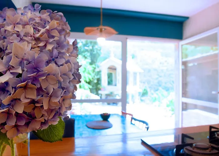 O Quinteiro De Elvira Moaña