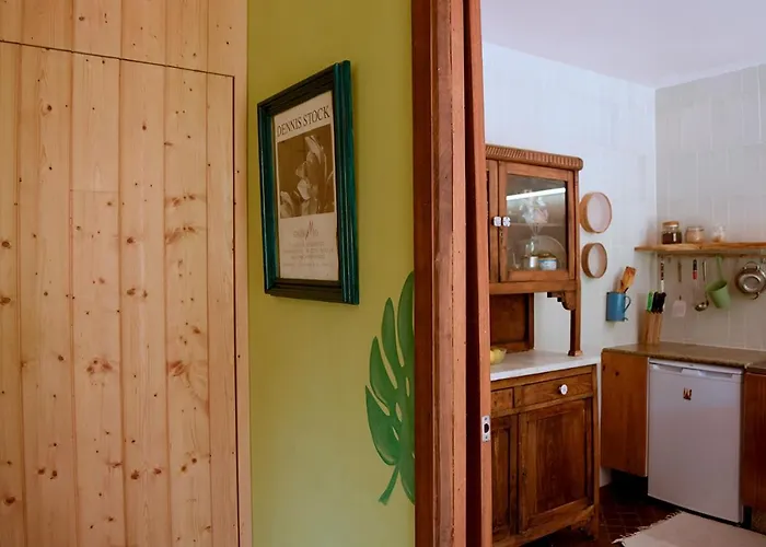 O Quinteiro De Elvira Daire Moaña