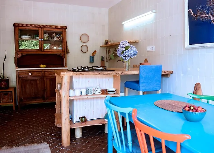 O Quinteiro De Elvira Moaña