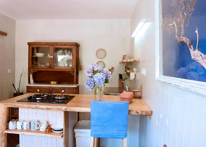 Daire O Quinteiro De Elvira