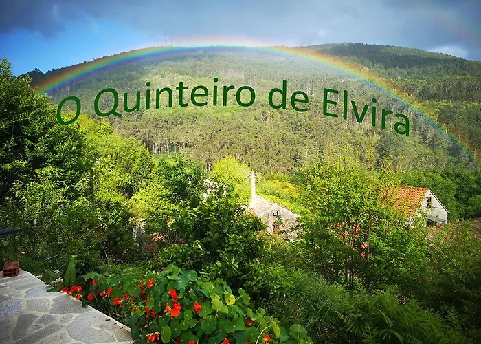 O Quinteiro De Elvira Daire *